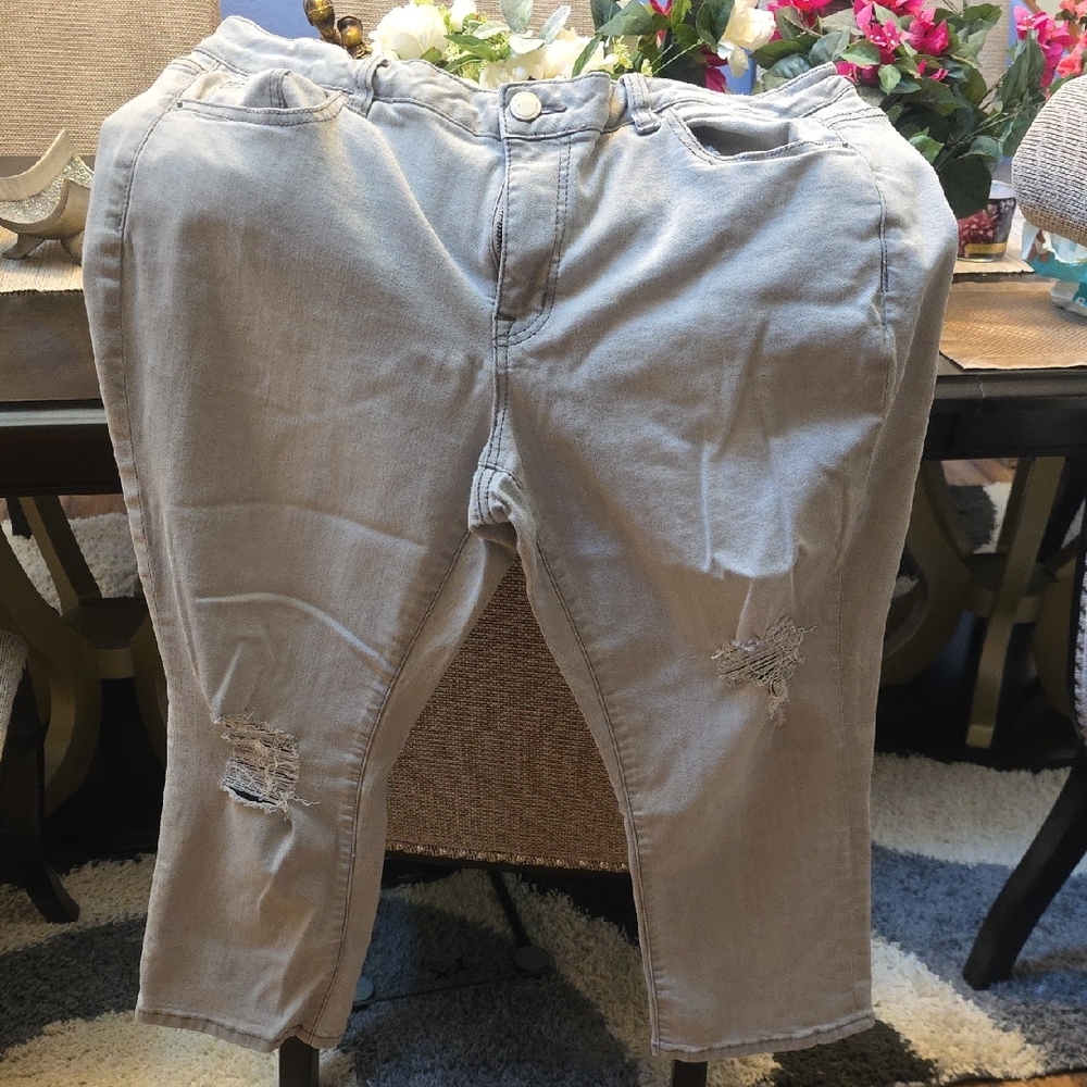 Lane Bryant Light Gray Jeans